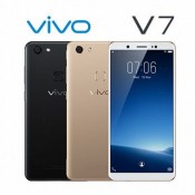 VIVO (9)